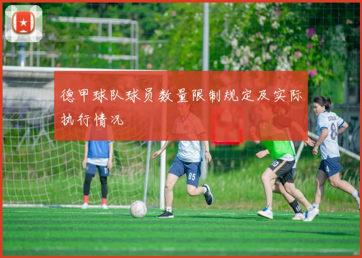 德甲球队球员数量限制规定及实际执行情况
